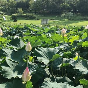 あいち健康の森 7枚目