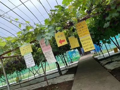 佐久間利兵衛観光農園