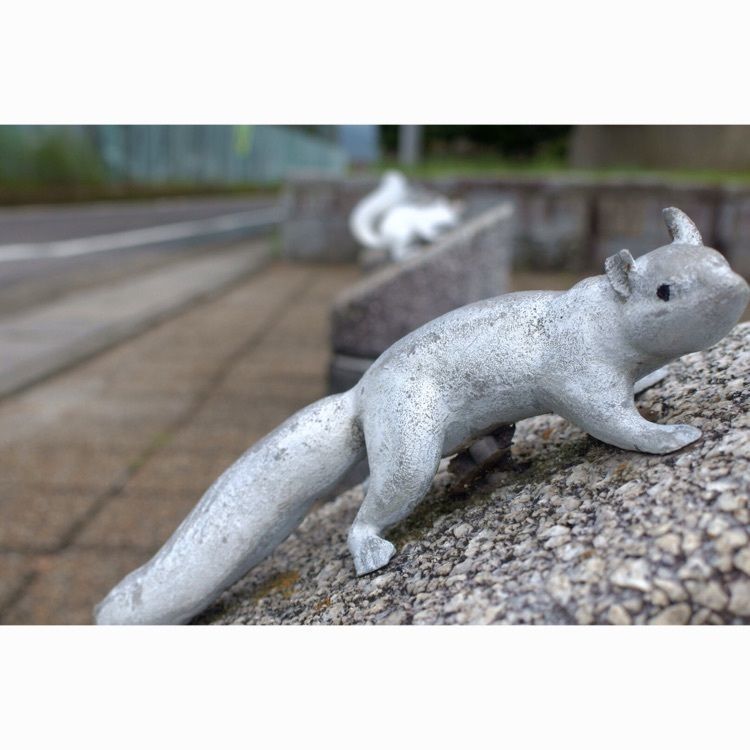 花❁⃘華  さんが投稿した福徳泉公園に関する口コミの画像