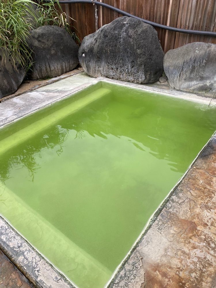 かめ_メグミさんが投稿した国見温泉　石塚旅館に関する口コミの画像