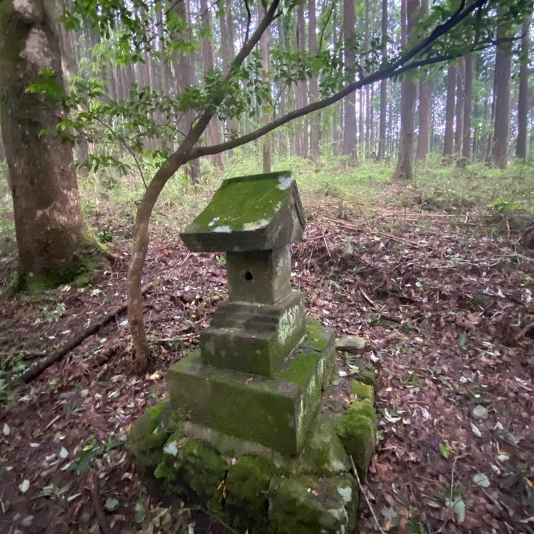 RIMさんが投稿した二岡神社に関する口コミの画像