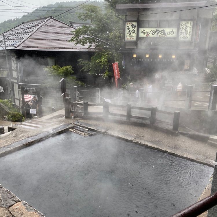 かめ_メグミさんが投稿した野沢温泉の麻釜と野沢菜洗いに関する口コミの画像