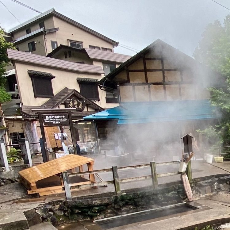 かめ_メグミさんが投稿した野沢温泉の麻釜と野沢菜洗いに関する口コミの画像