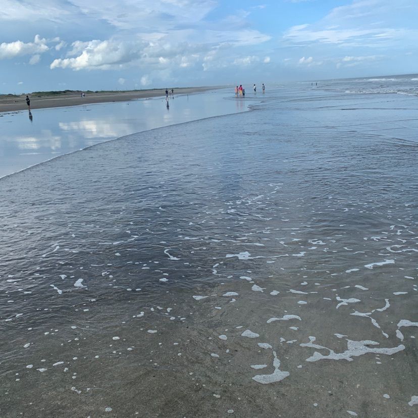 コロコロパンダさんが投稿した本須賀海水浴場に関する口コミの画像