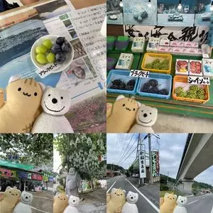 かねまる園