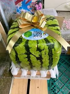音の花温泉
