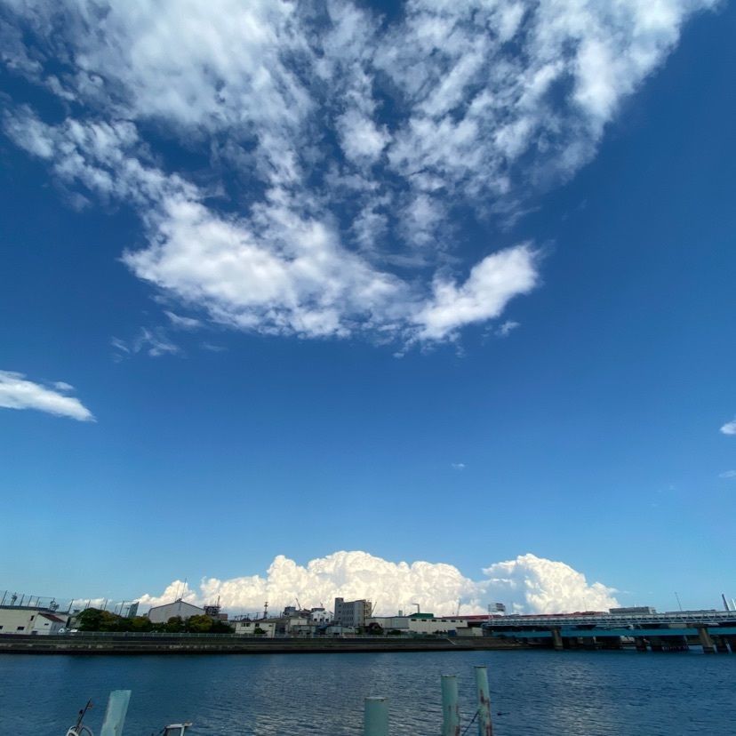 Kayoさんが投稿した海芝浦駅に関する口コミの画像