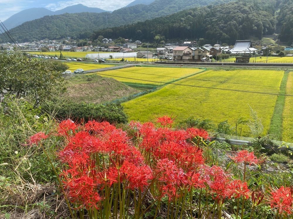 あるふぃすたさんが投稿した白木山（広島県広島市）に関する口コミの画像