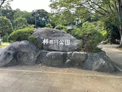 柿田川湧水