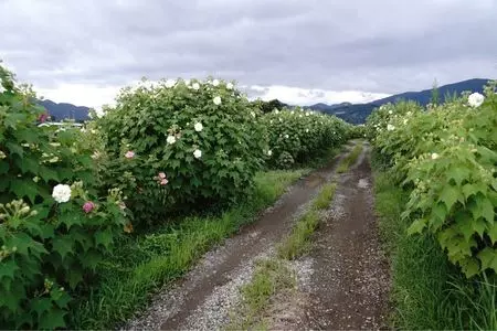 あしがり郷「瀬戸屋敷」