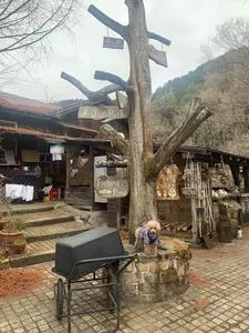 レイク・ウッド・リゾート（Lake Wood Resort）