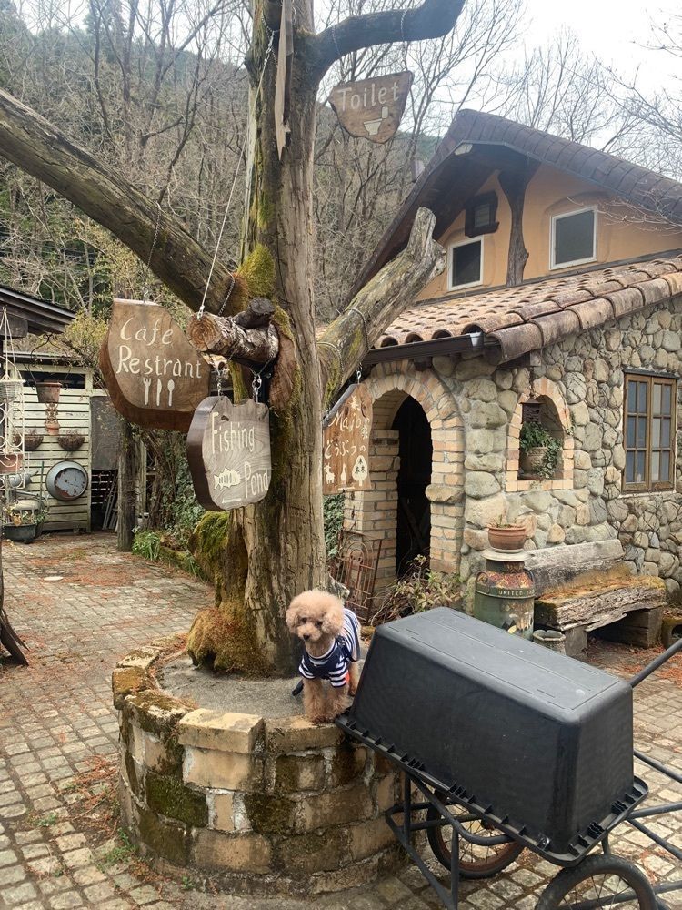 ティンクとハムさんが投稿したレイク・ウッド・リゾート（Lake Wood Resort）に関する口コミの画像