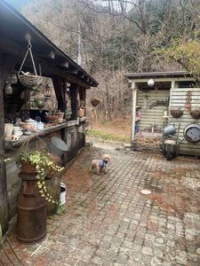 レイク・ウッド・リゾート(Lake Wood Resort) 4枚目