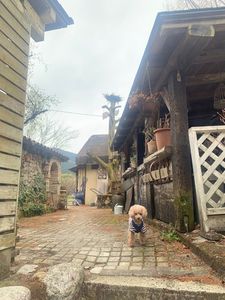 レイク・ウッド・リゾート(Lake Wood Resort) 5枚目