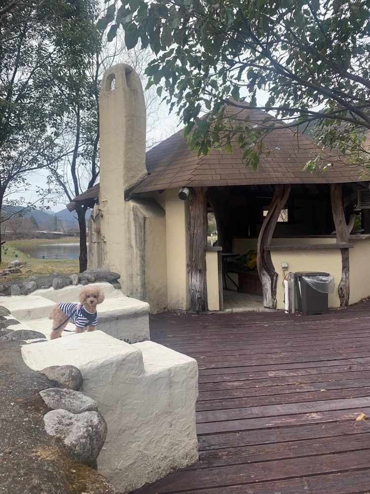 ティンクとハムさんが投稿したレイク・ウッド・リゾート（Lake Wood Resort）に関する口コミの画像