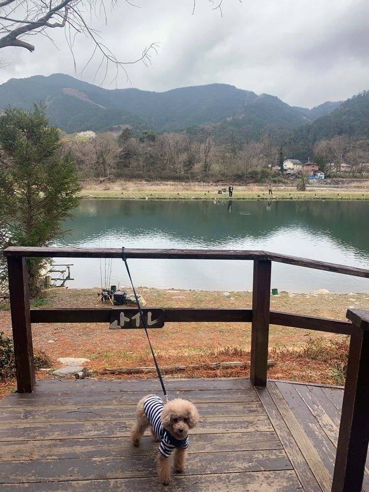 ティンクとハムさんが投稿したレイク・ウッド・リゾート（Lake Wood Resort）に関する口コミの画像