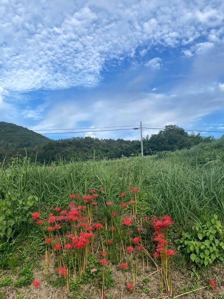 みーなさんが投稿した空口ママのみるく工房（ミルク工房）に関する口コミの画像