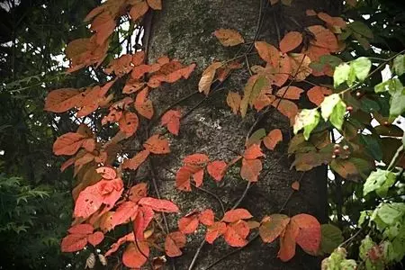 佐久平交流センター