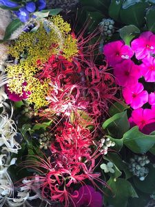 みくらや餅店（ミクラヤモチテン） 2枚目