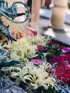 みくらや餅店（ミクラヤモチテン） 3枚目