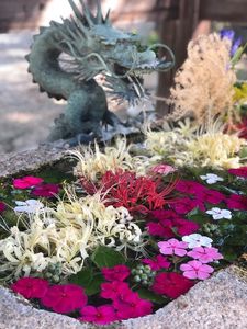 みくらや餅店（ミクラヤモチテン） 4枚目