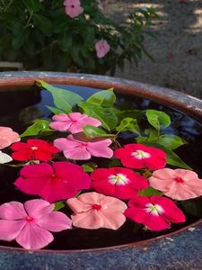 みくらや餅店（ミクラヤモチテン） 6枚目