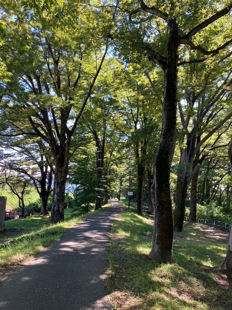 Nさんが投稿した信玄堤に関する口コミの画像
