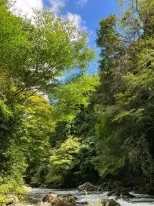カントリーレストラン渓流荘