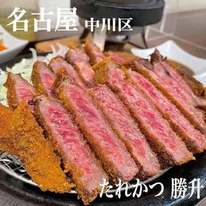 たれかつ本舗 勝升