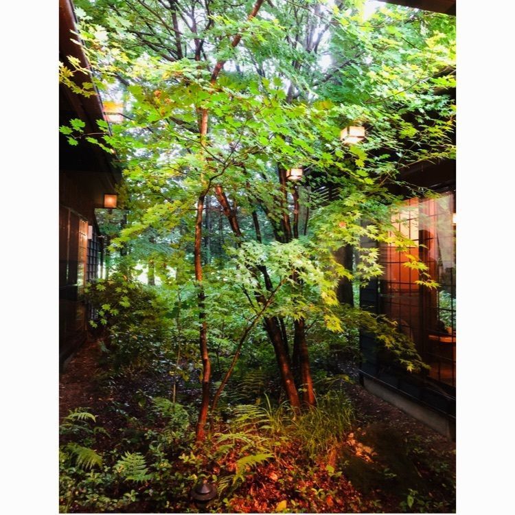 サトツルさんが投稿した那須高原蕎麦 石心に関する口コミの画像