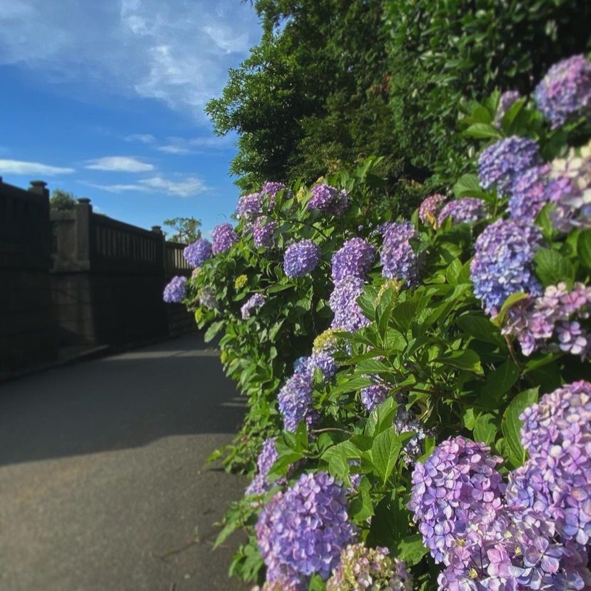 Kayoさんが投稿した総持寺に関する口コミの画像