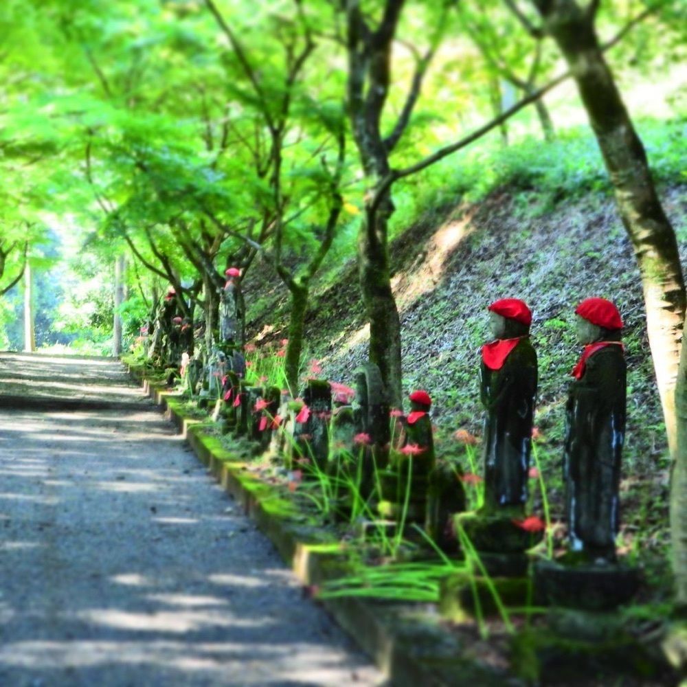 Shoさんが投稿した金蔵院に関する口コミの画像
