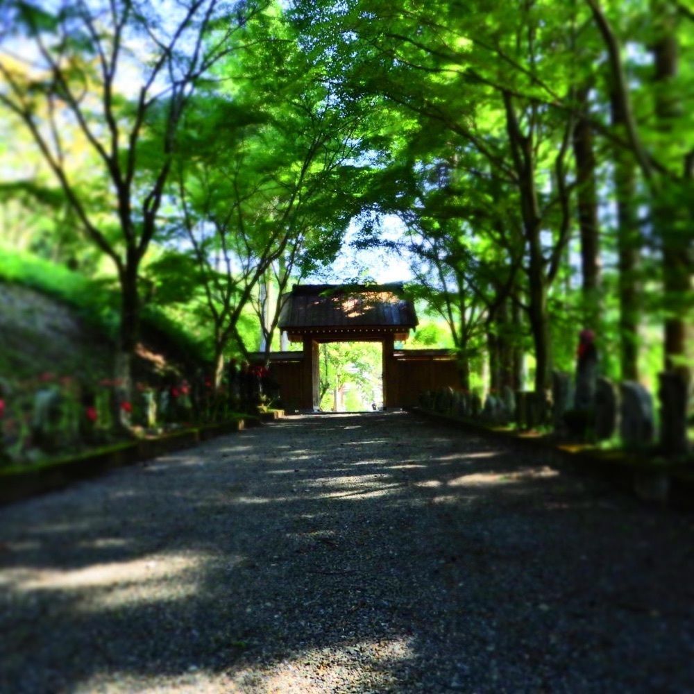 Shoさんが投稿した金蔵院に関する口コミの画像