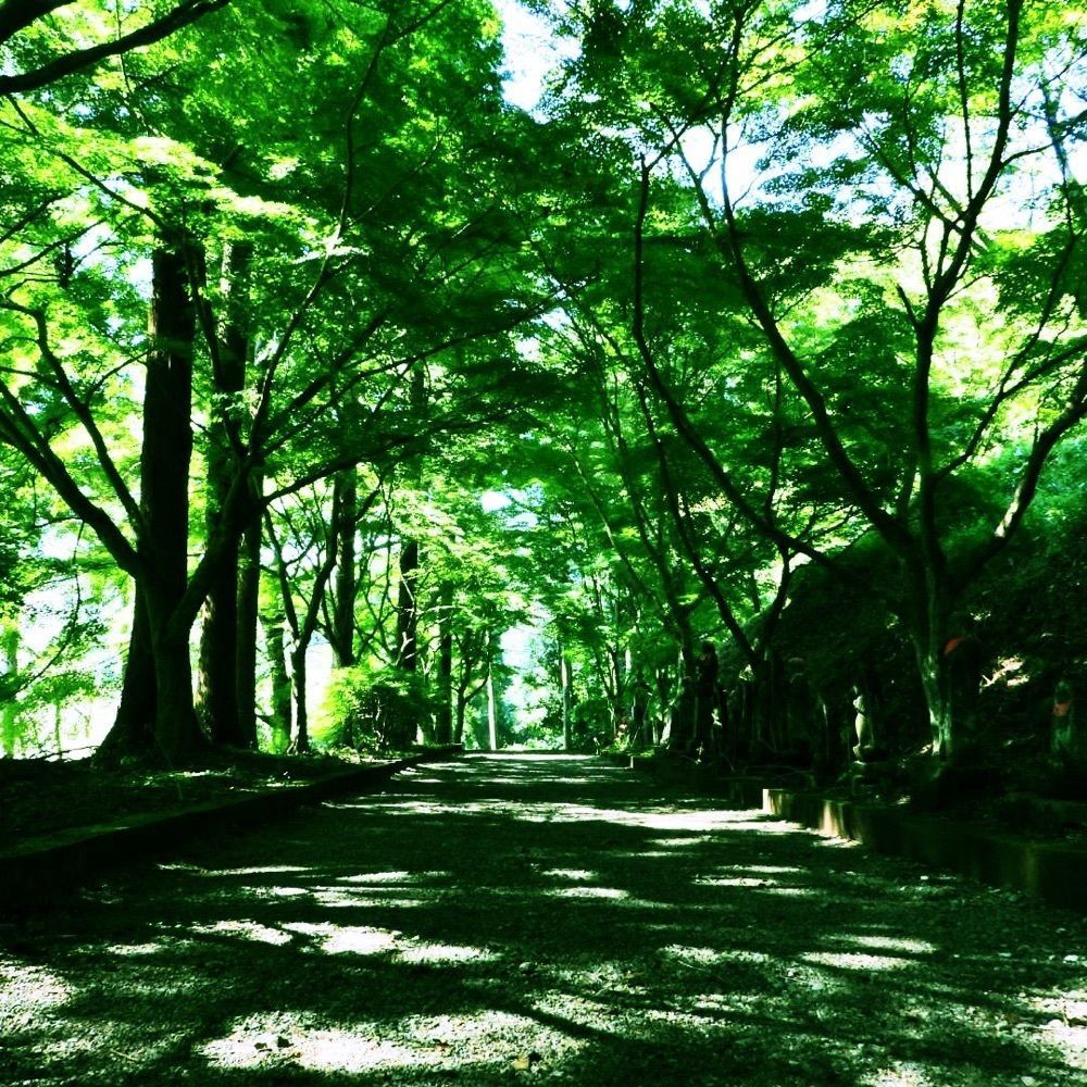 Shoさんが投稿した金蔵院に関する口コミの画像