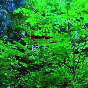 出流山満願寺