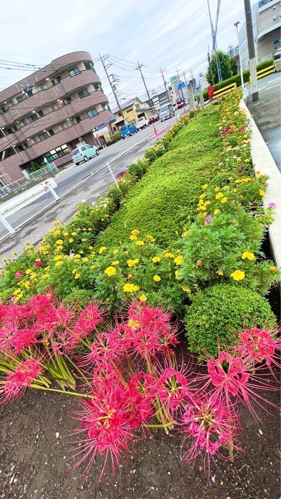 miiさんが投稿したアンデス食品 上尾市場店に関する口コミの画像