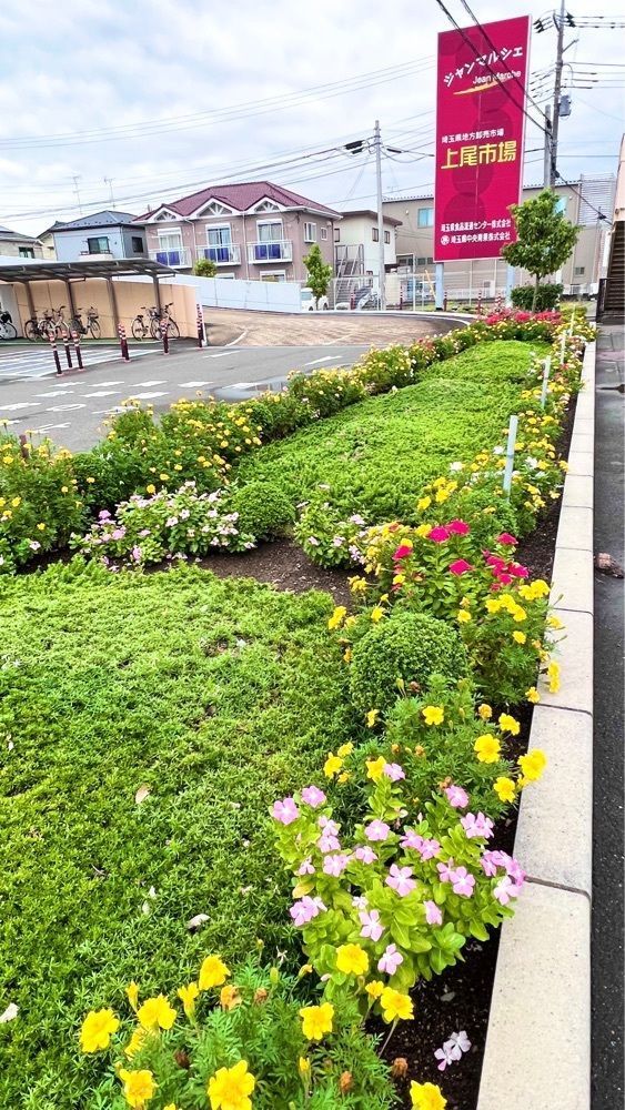 miiさんが投稿したアンデス食品 上尾市場店に関する口コミの画像