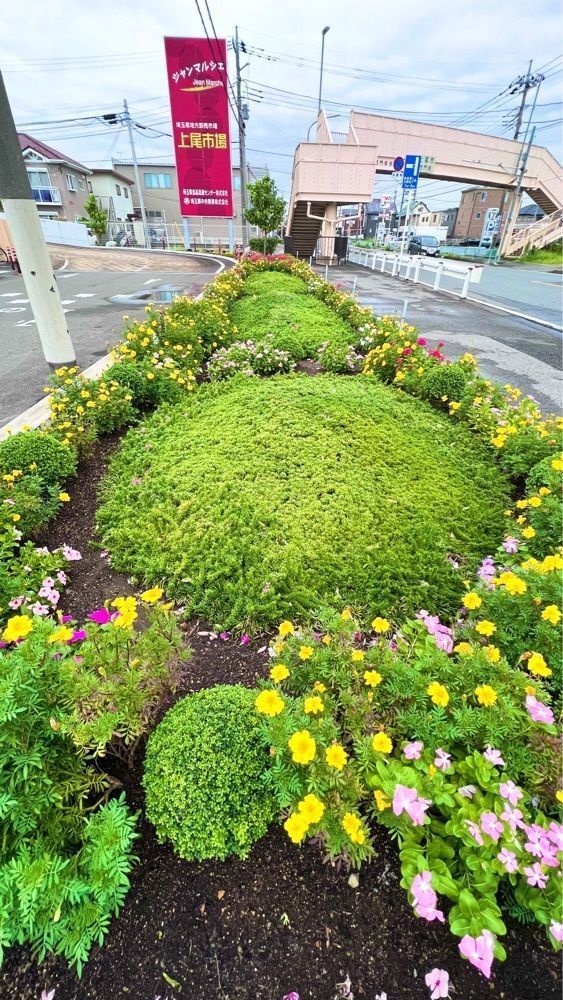 miiさんが投稿したアンデス食品 上尾市場店に関する口コミの画像