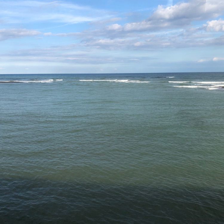 famous_marketさんが投稿した蚊口海浜公園に関する口コミの画像