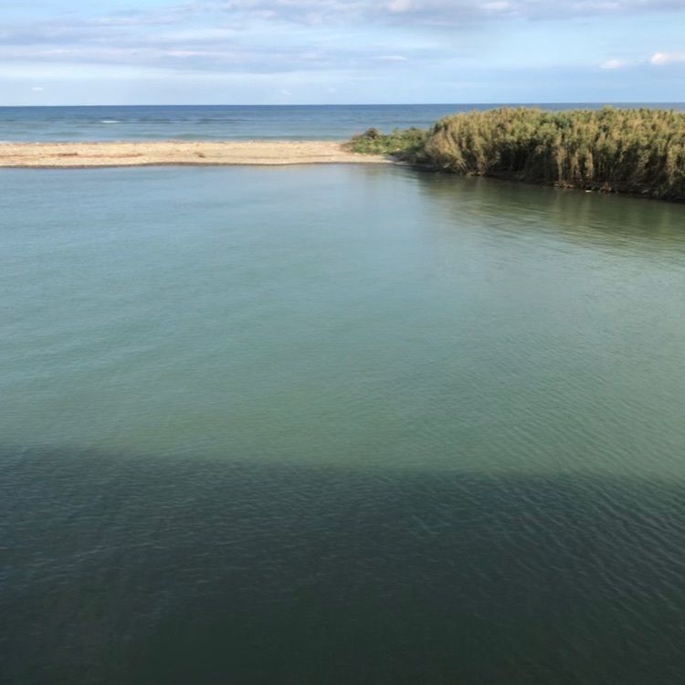 famous_marketさんが投稿した蚊口海浜公園に関する口コミの画像