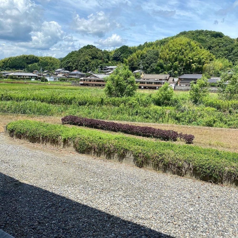 おでかけ探検部さんが投稿したドライブイン佐奈に関する口コミの画像