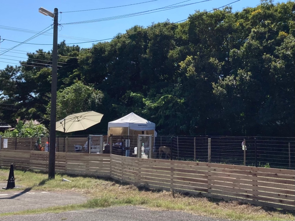 茅ヶ崎ゴルフ倶楽部