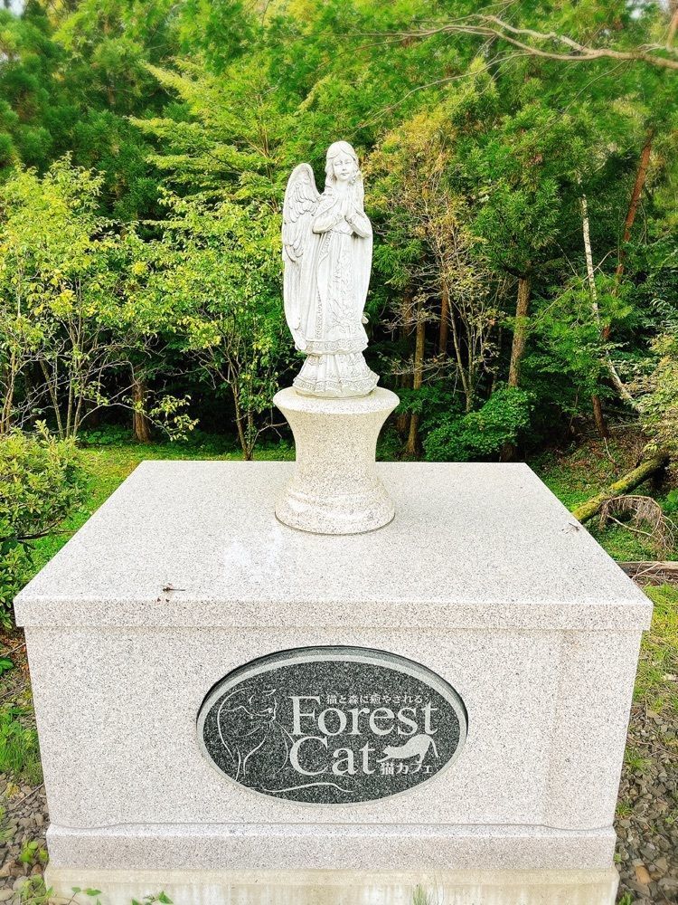 猫なぎ。さんが投稿したフォレスト・キャット（Forest Cat）に関する口コミの画像