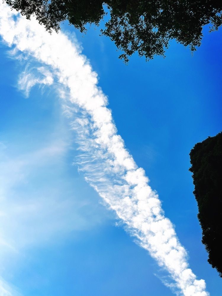 猫なぎ。さんが投稿した太平山に関する口コミの画像