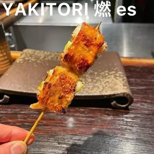 YAKITORI 燃 es（ヤキトリ モエ エス）