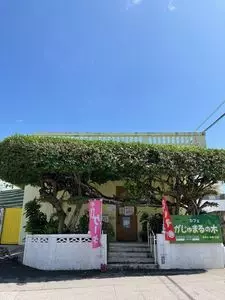 カフェ がじゅまるの木