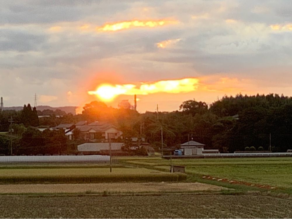 festive_garden_7486さんが投稿したモスバーガー シーサイド荒尾店に関する口コミの画像