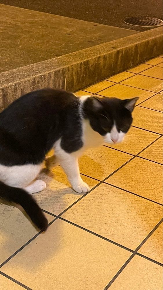 みぃさんが投稿したジョイフル 東かがわ大内店（Joyfull）に関する口コミの画像