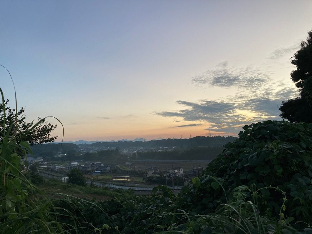 Howl Monさんが投稿した天麩羅 えびのや イオンモール浜松市野店に関する口コミの画像