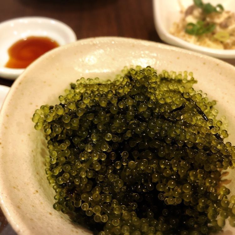 いろはさんが投稿した南風花 アクアシティお台場店（はいばな）に関する口コミの画像